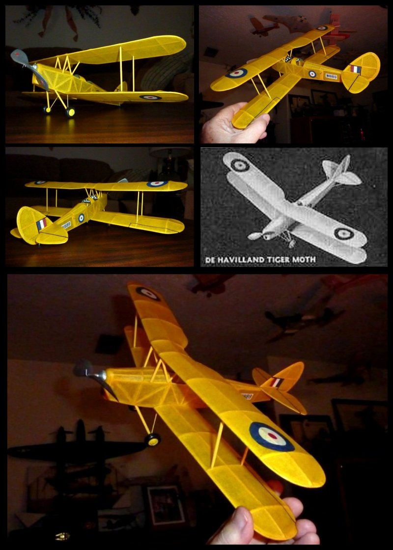 Plate_130_de_Havilland_DH82A_Tiger_Moth.jpg